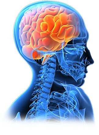 Neuropsychiatrist in Pitampura