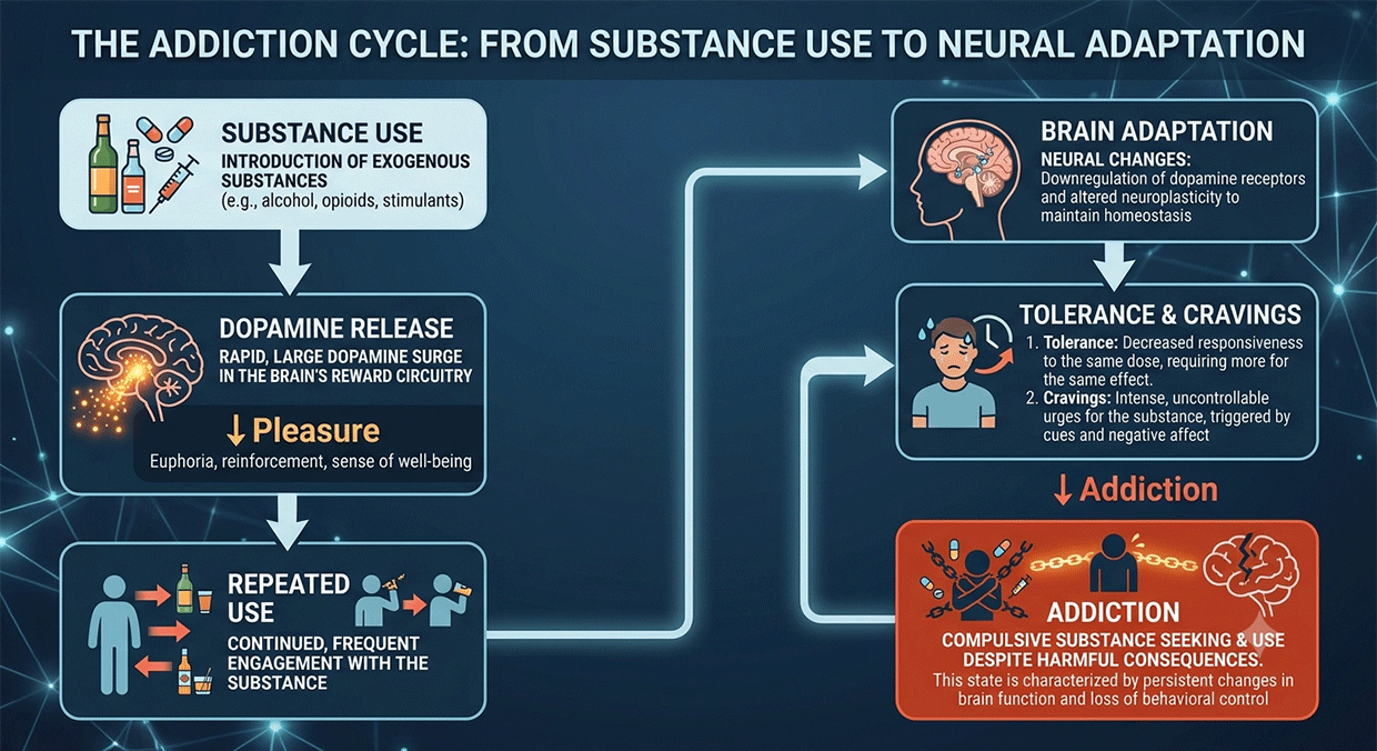Causes of Addiction​